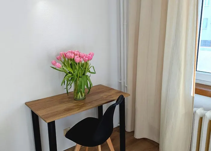 Sunny Apartment 3 Minutes Walk From Rynek Square Apartment *