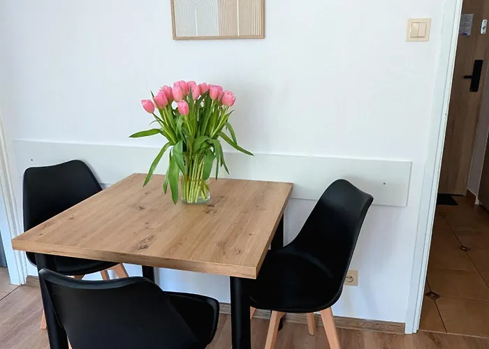 Sunny Apartment 3 Minutes Walk From Rynek Square Apartment